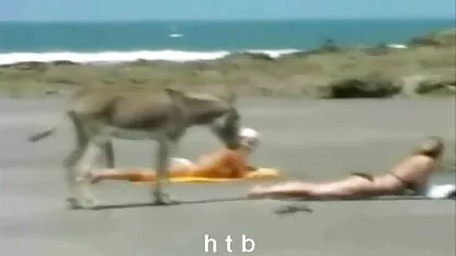レズビアンブルネット撫で彼らの舌 女性 動画 無理